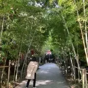 Michiの画像