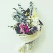 mimi✴︎の画像