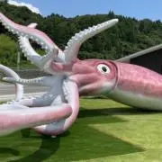 はるたかの画像