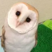 R【単品値下げしません】の画像