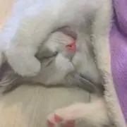 ＊fujlgaya＊の画像