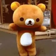 こたろうの画像