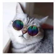 katyの画像