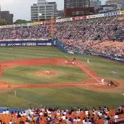 HNの画像