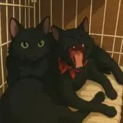 クラッシュの画像