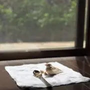 きなこの画像