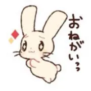 lilyの画像