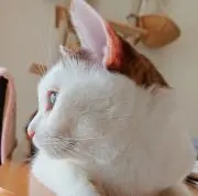 発送遅いです(_ _)の画像