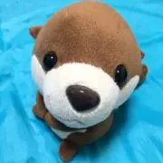 ゆうままの画像