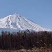 ベル