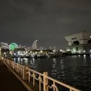 むーの画像