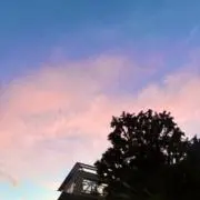 cayu【断捨離中】の画像
