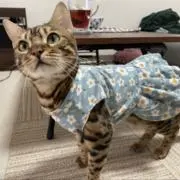 さとの画像