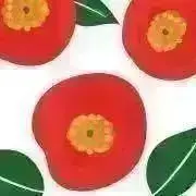 椿(プロフィール必読)の画像