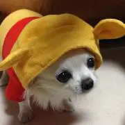 Jin_mamaの画像