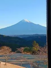 しらすの画像