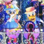 カタツムリの画像