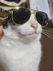 mi_nの画像