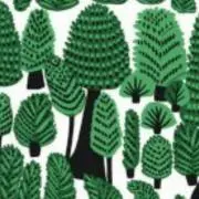 irieの画像