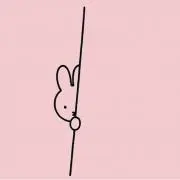 Rの画像