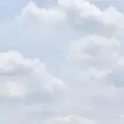 moco