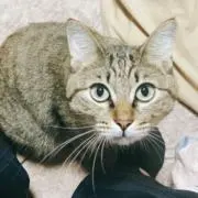 みぃらい☆フォロー割あり☆の画像