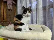 ウッチ(^_^)の画像