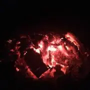 としおの画像