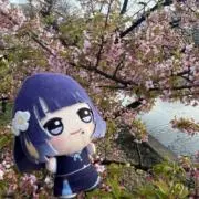 tomoの画像