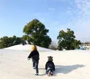 tomoの画像