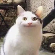 ひーの画像