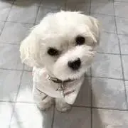 らら