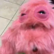 もの画像