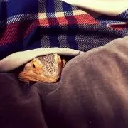 まる