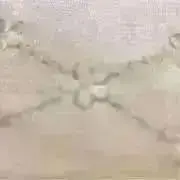 グリ