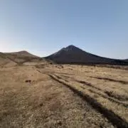 あひる