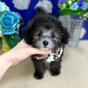 エイトック
