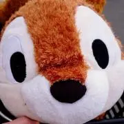 織姫　Shopsも合わせ買いできますの画像