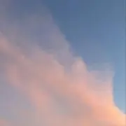 ポポの画像