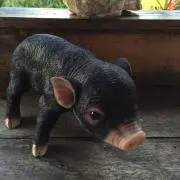Sa-