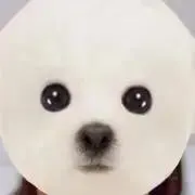 setsucoの画像