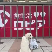 ごま太郎