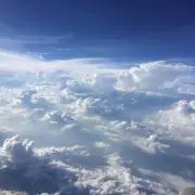 ゆーき