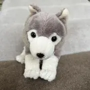 コルク☆プロフ必読の画像