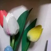 かあこ