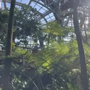 Green&Co.の画像