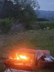 まりんてぃーな