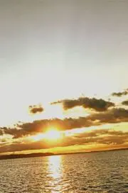 くーなんの画像