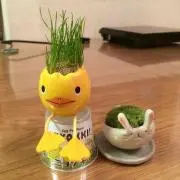 みー