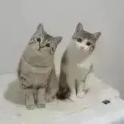 ジャンク LSIゲーム 7個セット - メルカリ